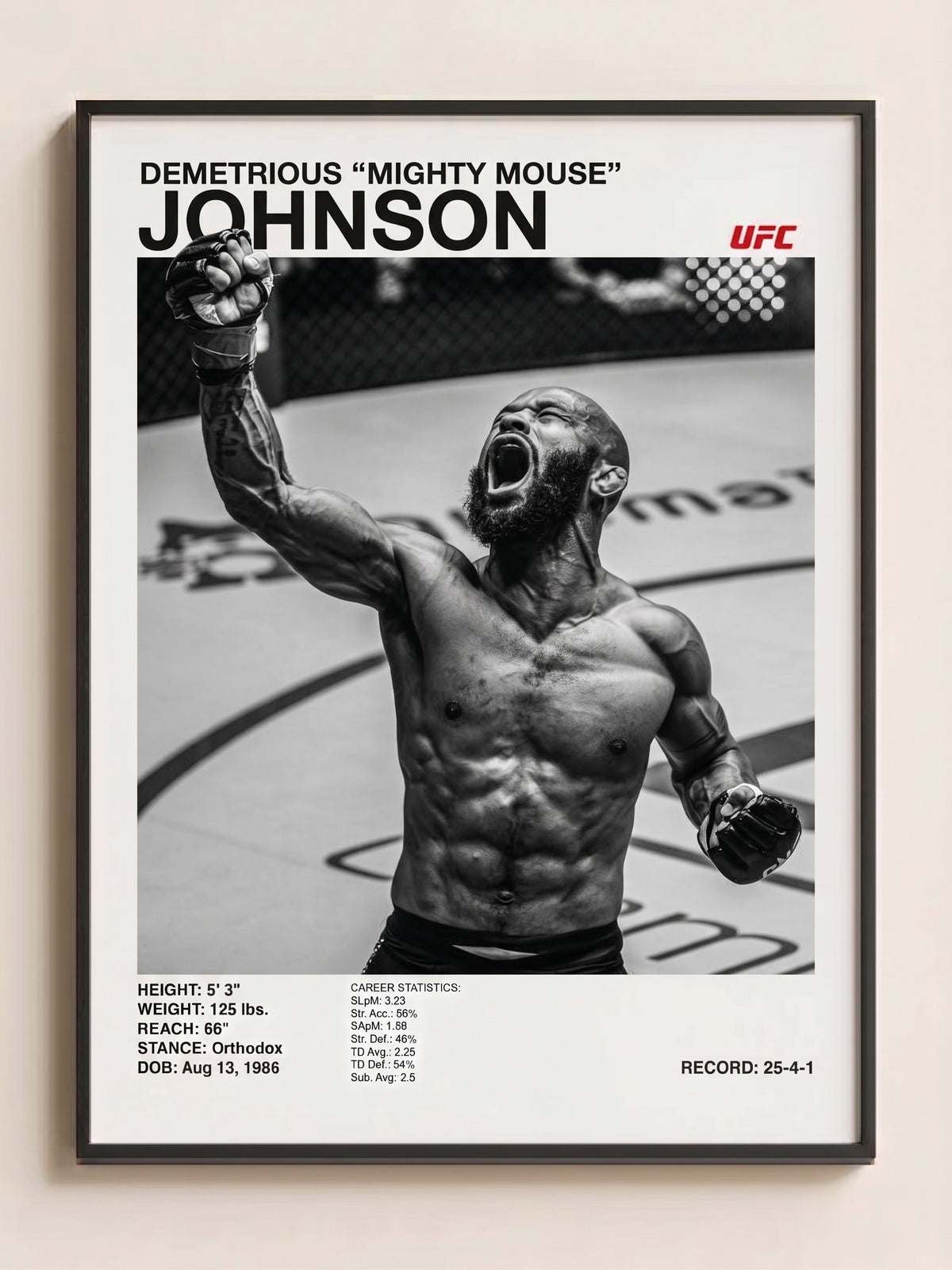 Demetrious Johnson Tablo (30x40)